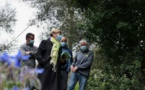 LURI  Une oliveraie bientôt sortie de l'oubli par un jeune agriculteur
