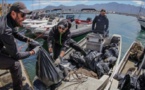 CALVI  Chasse aux déchets dans le port