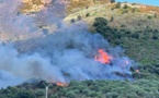 Ajaccio : six hectares brûlés à la Confina