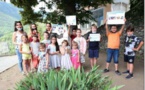  PIEDICROCE  A scola primaria felice è fiera d'entre in a reta di l'Eco Scole !