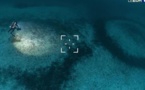 Vingt jours sous la mer : le défi scientifique de 5 plongeurs au large de la Corse