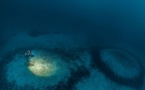 Laurent Ballesta tente de percer le mystère des anneaux de corail du Cap Corse