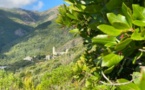 Météo corse : semaine estivale avec toujours un petit vent d’Ouest