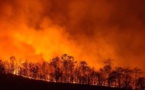 Incendies : La Sardaigne appelle à l'aide, la Corse répond