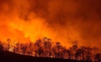 Incendies : La Sardaigne appelle à l'aide, la Corse répond