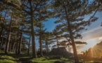 SOLENZARA  Consultation publique pour un tourisme durable dans la forêt de Bavella