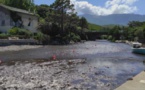 A PETRACURBARA  Un port, des posidonies et des nuisances en pagaille...