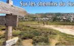 Sur les chemins du Cuscionu