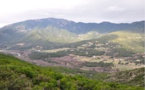 Gestion des estives, préservation et développement de la montagne : l'État ne peut pas être seul à la manœuvre selon Femu a Corsica
