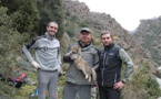 Le chat-renard de Corse s’invite au Congrès Mondial de la Nature