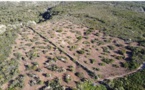 Quand les chasseurs de Haute-Corse s'investissent pour sauvegarder la biodiversité !