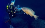 Mare latinu : Albert Saladini chasseur d’images de la mer à la scène.