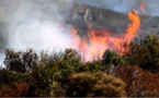 3 hectares détruits par un incendie à Lozzi
