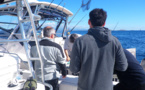 Déclaration pour la pêche maritime de loisir dans la RNBB - Saison 2025
