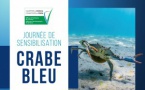 Journée de sensibilisation "Crabe bleu"