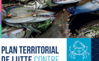 Le plan territorial de lutte contre le crabe bleu