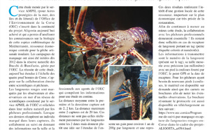 A cunniscenza di l’aligosta rossa cresce cù a cullaburazione trà pescadori è scentifichi !