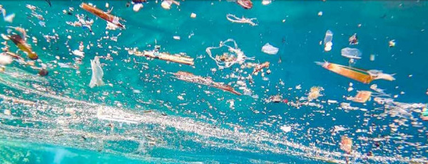Plaidoyer pour une mer "Plastic Free"