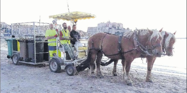 Deux chevaux collectent les déchets sur la plage