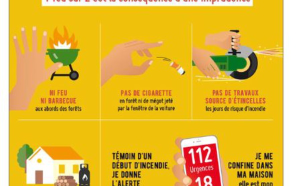 Feux de Forêt : les prévenir et s'en protéger