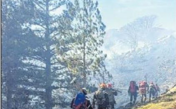 Les jeunes Corses donnent un coup de main