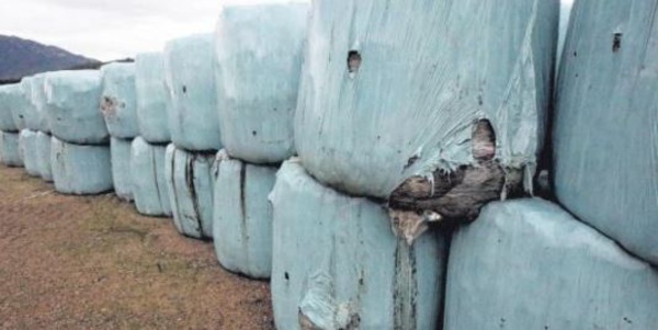 1 200 Tonnes stockées dans un champ à Cauro : Système "D" comme déchets 