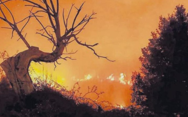 Près de 80 hectares ravagés par le feu dans le Cap Corse
