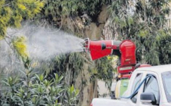  La xylella fastidiosa dans le viseur du ministère de l'Agriculture 