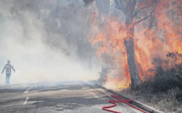 À Calenzana, première alerte de l'été sur le front des incendies