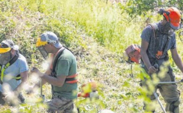 Cervioni   In tempu di diraschera