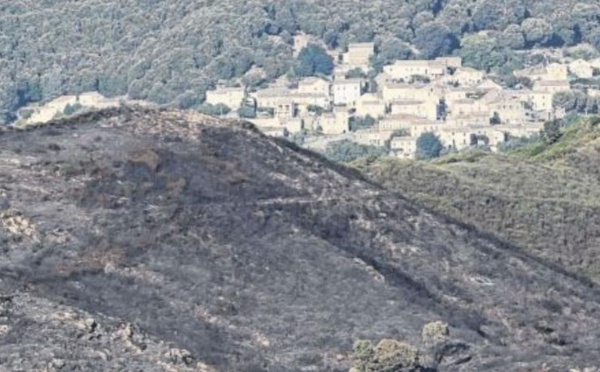 Dix hectares brûlent à Castellu di Rustinu