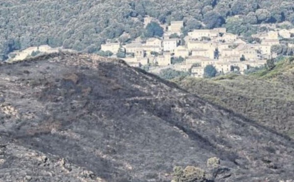 Dix hectares brûlent à Castellu di Rustinu