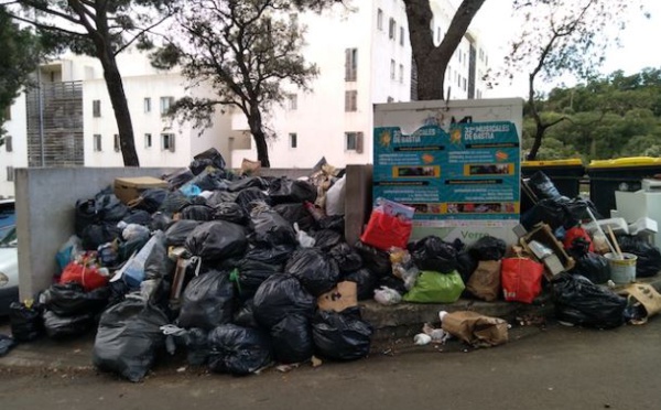 Tocc'à Voi. Les jolies poubelles de mon quartier ... 