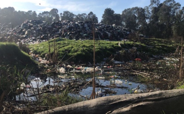 Déchets : le quai de transfert de Capo di Padule sature, quels risques pour la population et l’environnement ? 