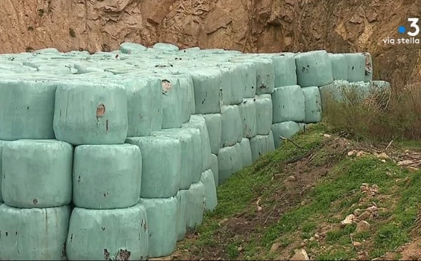 Crise des déchets : partout en Corse, les balles s'entassent dans des décharges à ciel ouvert