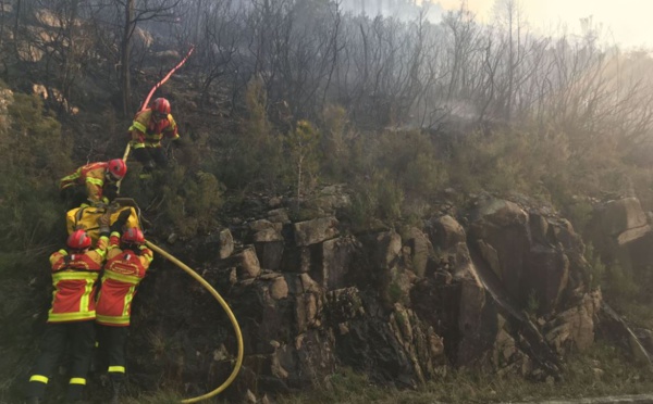 Incendie entre Quenza et Solaro : le feu est contenu