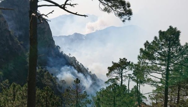 Feu de Quenza-Solaro : L’incendie surveillé, 200 pompiers toujours sur place