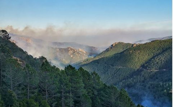 Incendie de Quenza-Solaro : plus de 1500 hectares détruits et 3 hommes blessés 