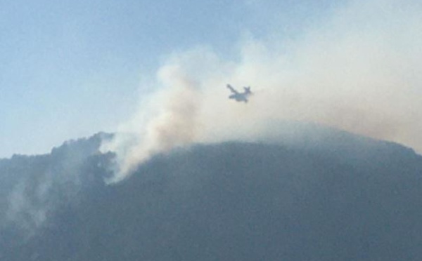 Bavella : le point sur l'incendie qui a détruit plus de 1500 hectares de végétation 