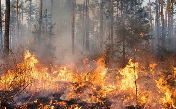 Feu de Bavedda : deux hélicoptères bombardier d'eau en renfort dans l'attente de nouveaux vents attendus en fin de semaine