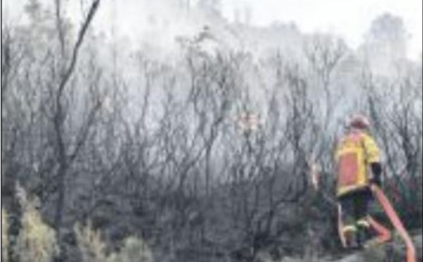 Incendie fixé, arrivée de renforts ce matin