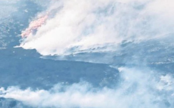 Un violent incendie se déclare sur les hauteurs de Pietracorbara 