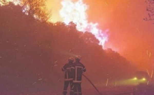 L'incendie du Nebbiu, attisé par le vent, parcourt 350 hectares