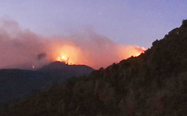 Feux : 350 hectares parcourus à Olmeta di Tuda, 70 à A Petra Curbara, 20 à U Poghju è Mezzana et 10 à Olmu