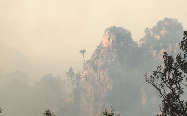 Incendie entre Quenza et Solaro : 4.600 hectares parcourus, la Haute-Corse placée en vigilance jaune vent fort