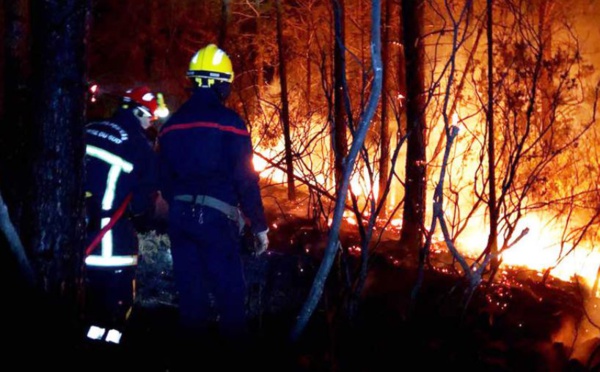 Incendie de Bavedda : 5 000 hectares ravagés, l'inquiétude grandit avec un nouveau coup de vent attendu