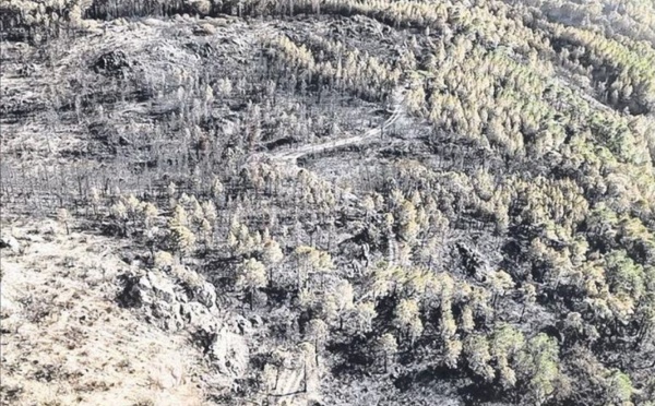 Incendies : la lutte continue entre Bavella et U Sulaghju