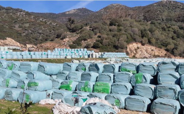 Déchets : à Ajaccio le site de Saint Antoine sous surveillance 