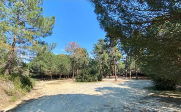 Forêt de Pinia : le message enfin compris