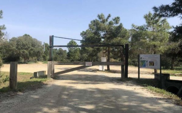  La forêt de Pinia totalement fermée